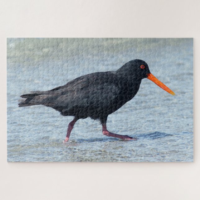 OYSTERCATCHER 20x30 INCH Jigsaw Puzzle (Horizontal)