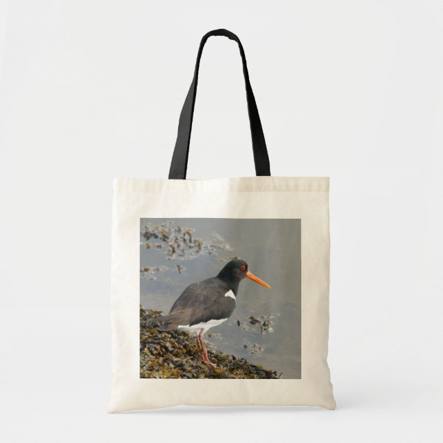 Oystercatcher Budget Tote Bag (Front)