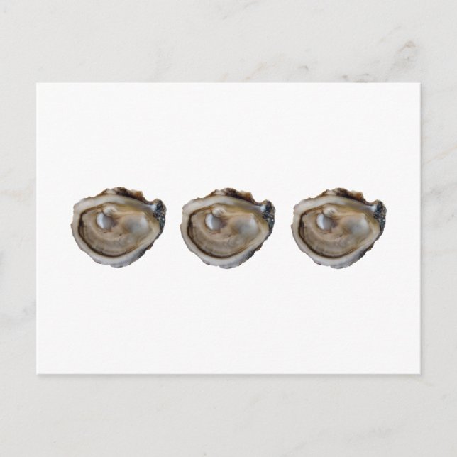 Oysters on the Half Shell Postcard (Front)