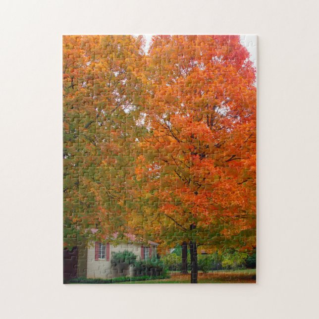 Ozark Arkansas. Jigsaw Puzzle (Vertical)