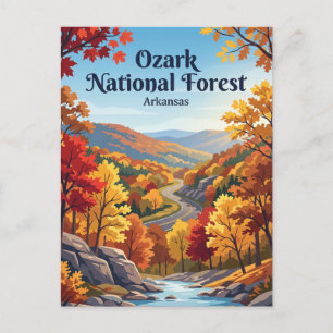 Ozark National Forest USA Postcard