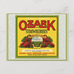 Ozark Strawberries Postcard
