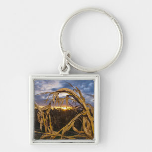 Ozarks Harvest Key Ring