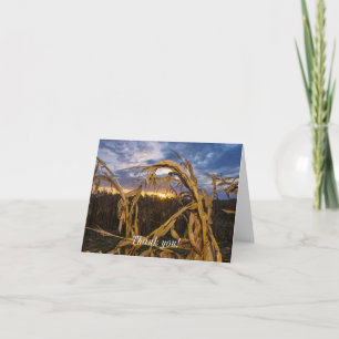 Ozarks Harvest Thank You Card