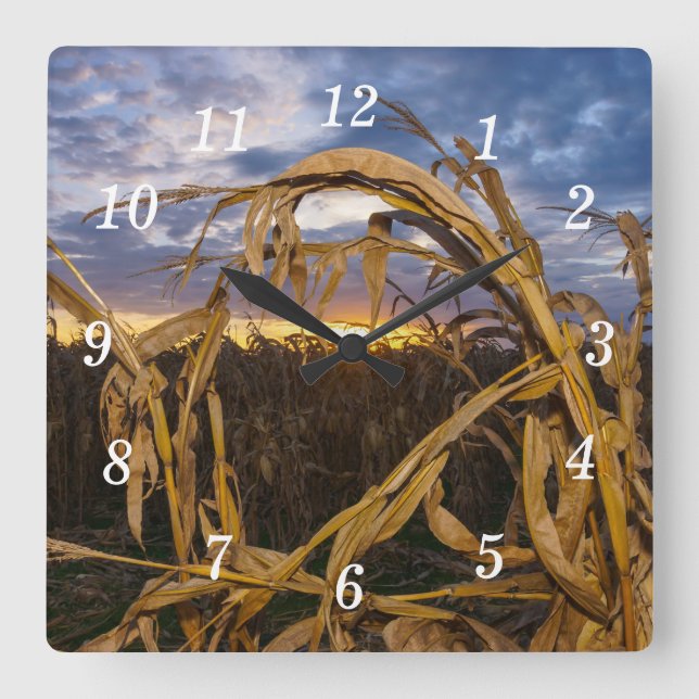 Ozarks Harvest Wall Clock (Front)