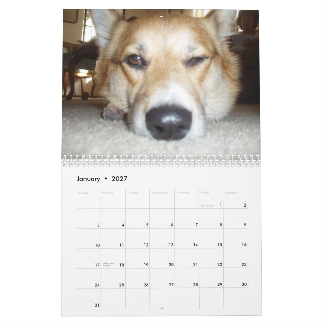 P1010036, Corgi Love Calendar (Jan 2027)