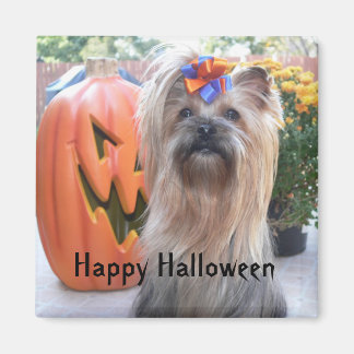 P1080884, Happy Halloween Magnet