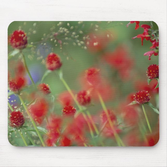P2290C_strawberry ghomphera_zazzle Mouse Pad (Front)