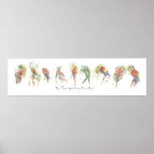 P3, Nine Parrots, Watercolor by Dennis Boyce Poster