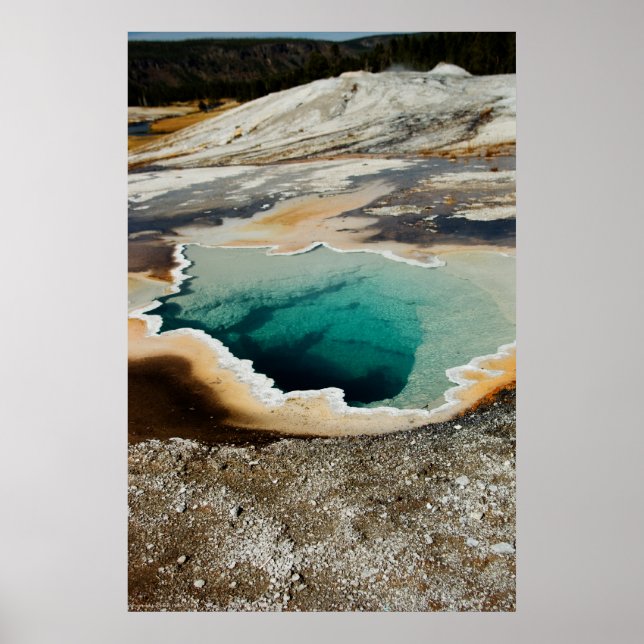 #P4078 Print (Front)