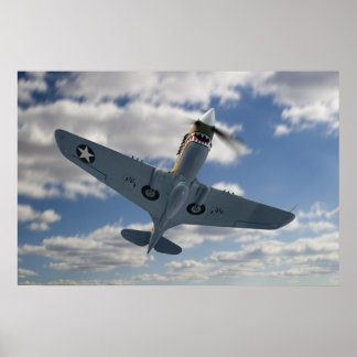 P40 Composite Poster
