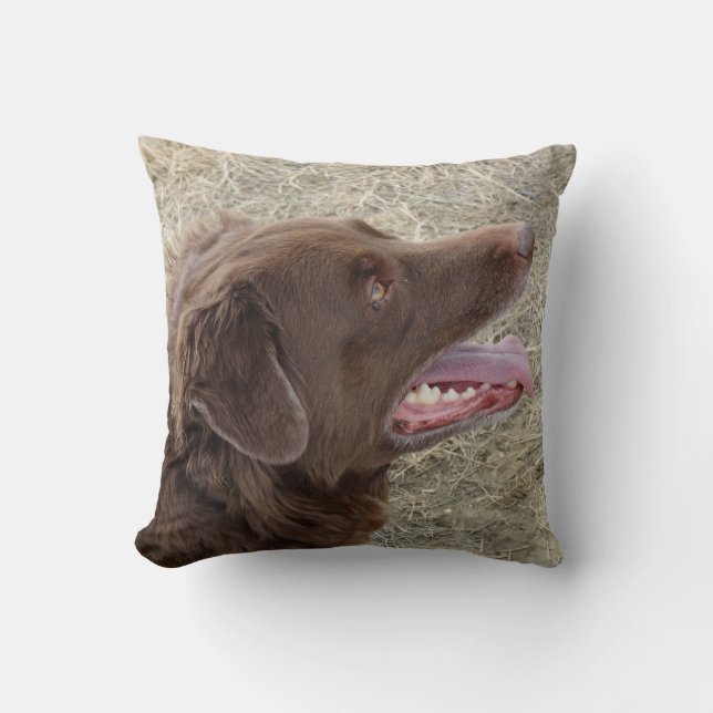 P4 Flatlandersam Profile Cushion (Front)