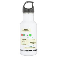 P53 Pathways Inside (Cell Molecular Biology)