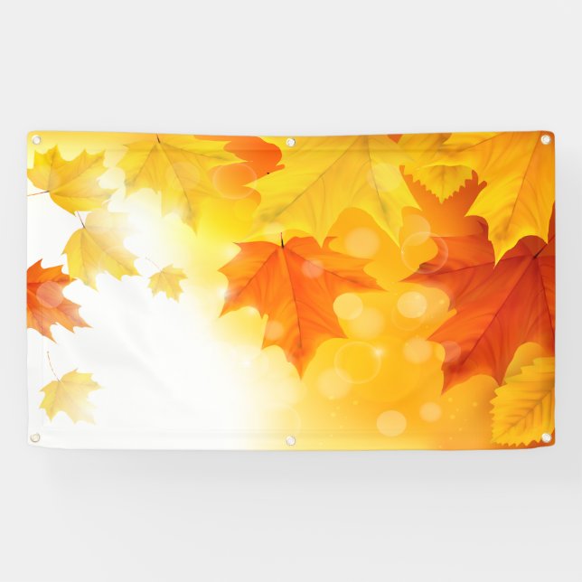 p581 banner (Horizontal)