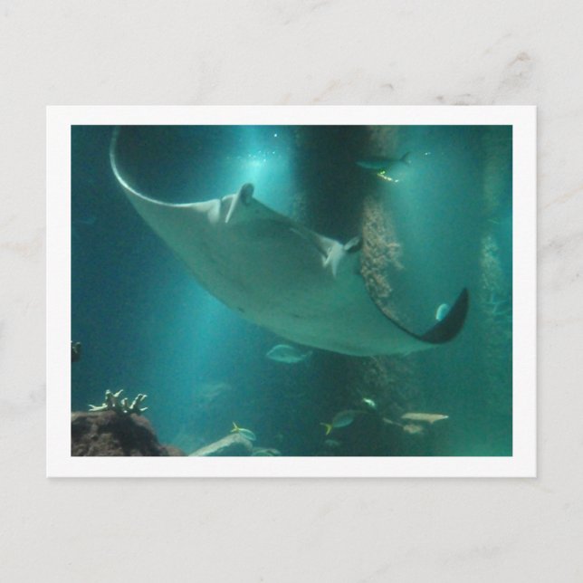 P6250309 POSTCARD (Front)