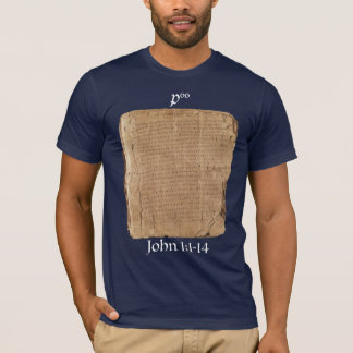 P66 Jn Beachfront 1:1-14 - Premium T-Shirt