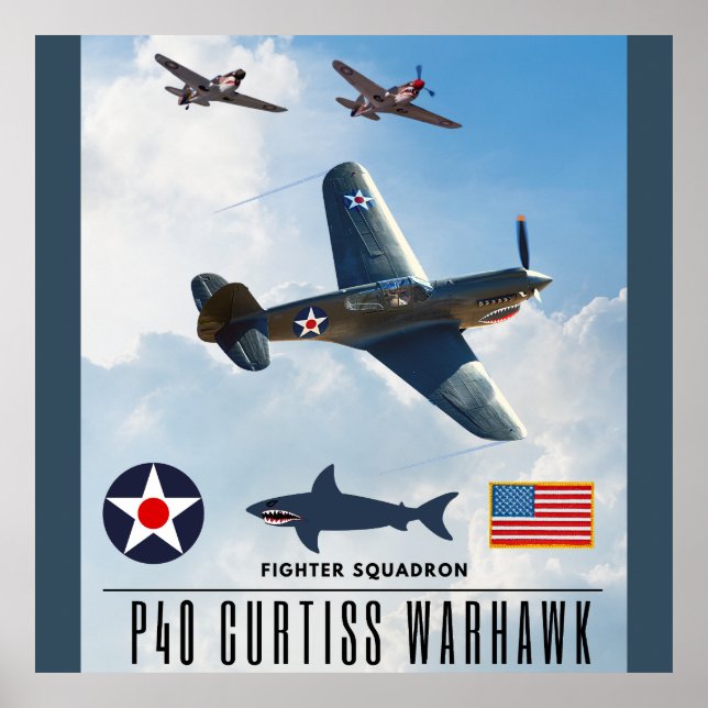 P-40 CURTISS WARHAWK FIGHTER SQUADRON POSTER (Front)