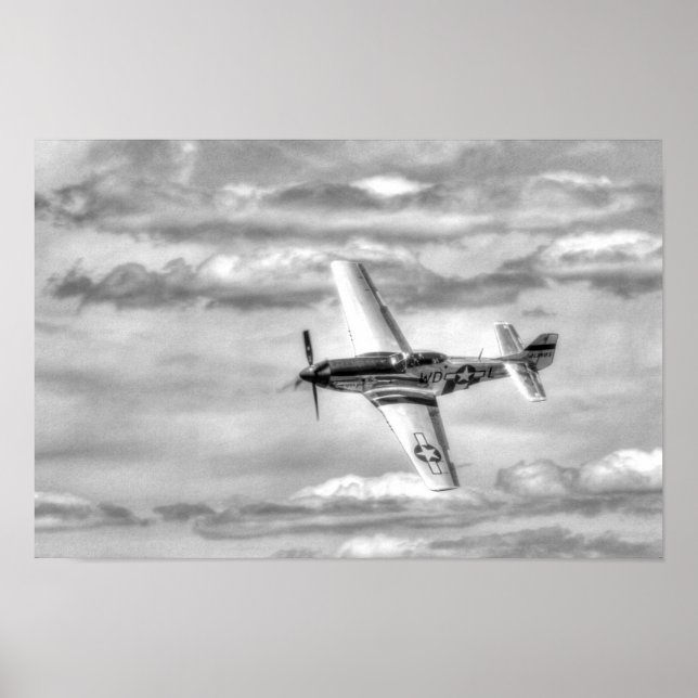 P-51 POSTER (Front)