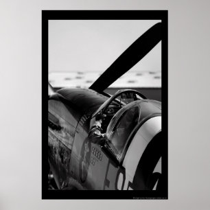 P-51B Mustang Poster