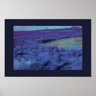 P Below in Indigo Poster