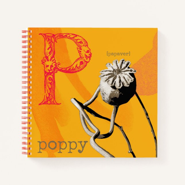 P is for Poppy  Notebook (Front)