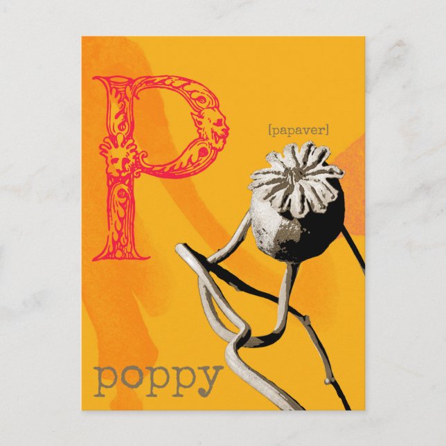 P is for Poppy  Postcard (Front)
