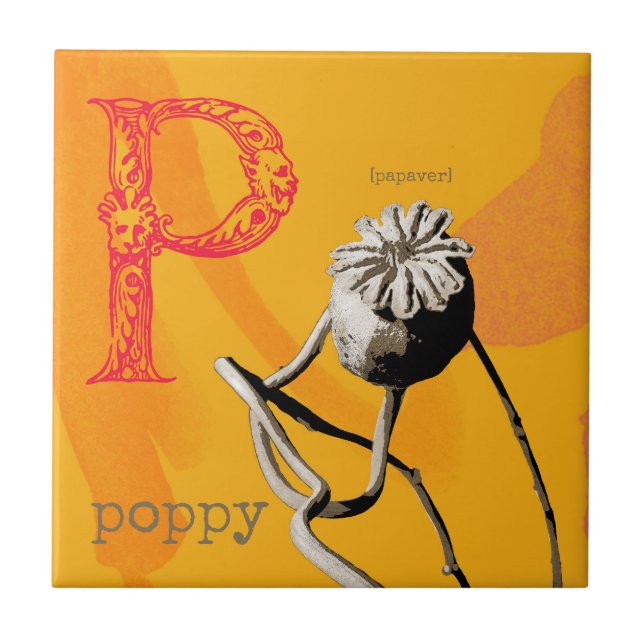 P is for Poppy  Tile (Front)