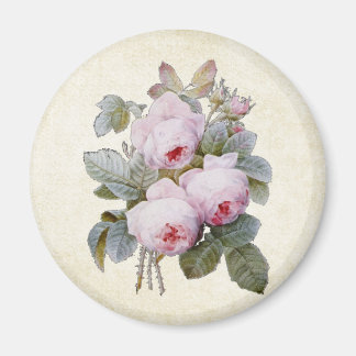 P.J. Redoute Bourbon Rose Bouquet Magnet