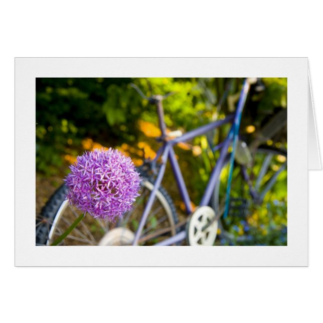 P Patch Bicycle (Front Horizontal)