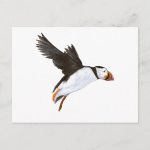 P. Puffin / carte postale Postcard