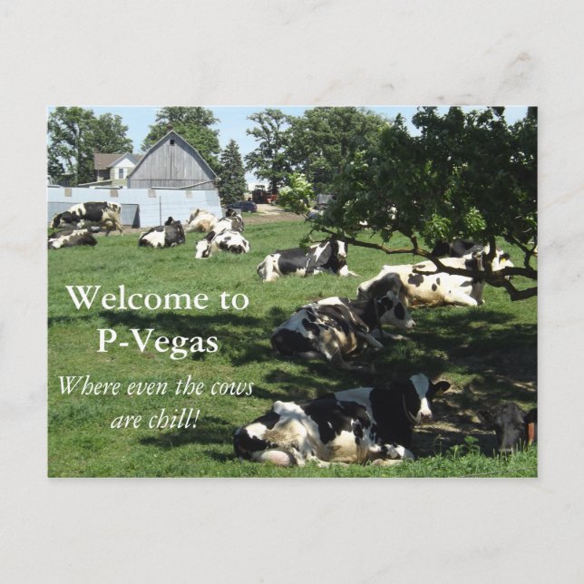 P-Vegas Platteville, Wisconsin Postcard (Front)