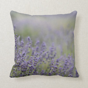 © P Wherrell Beautiful photo purple lavender field Cushion