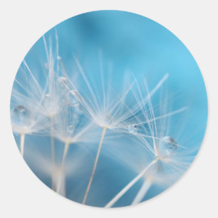 © P Wherrell Dandelion blues fine art photograph Classic Round Sticker