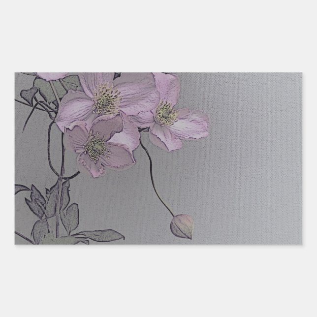 © P Wherrell Gorgeous stylish pale pink clematis Rectangular Sticker (Front)
