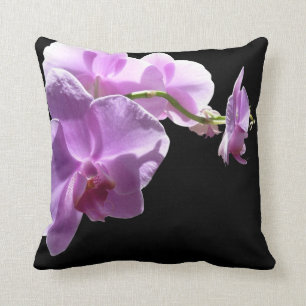 © P Wherrell Pink orchid on black background Cushion