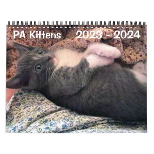 PA Kittens 2 Year Calendar
