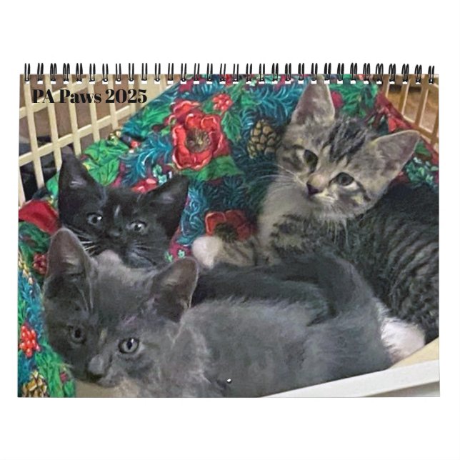 PA Paws 12 Month Personalised Calendar (Cover)