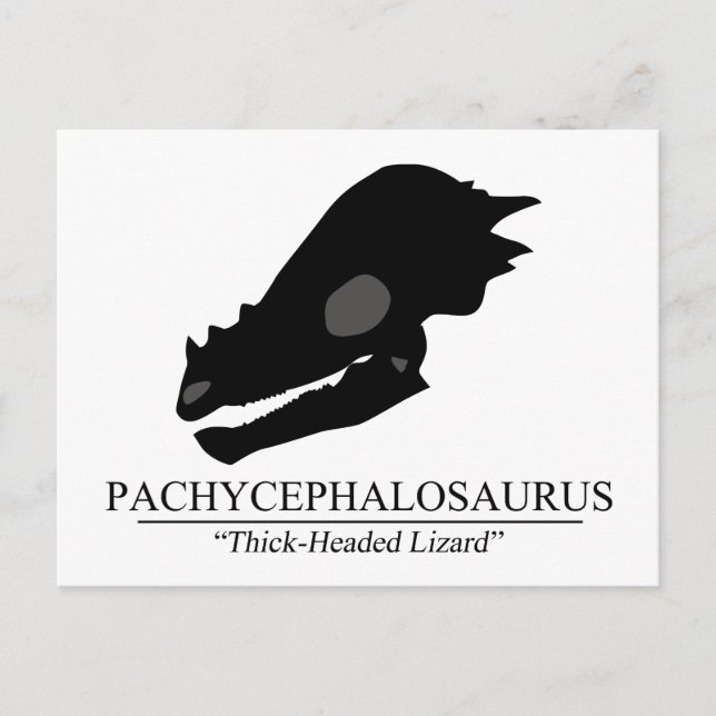 Pachycephalosaurus Skull Postcard (Front)