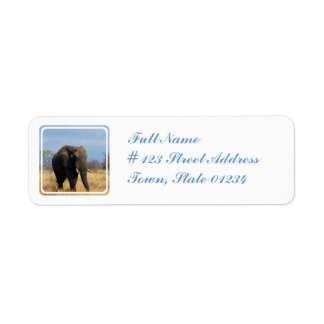 Pachyderm Mailing Label