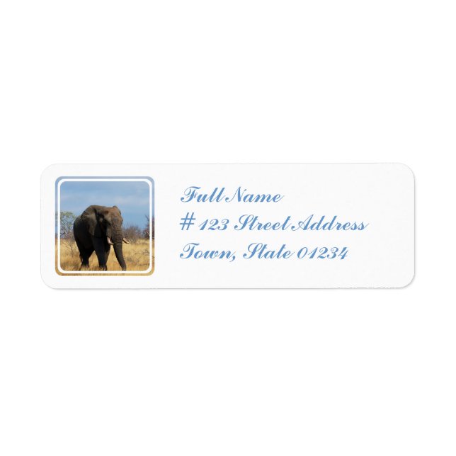 Pachyderm Mailing Label (Front)