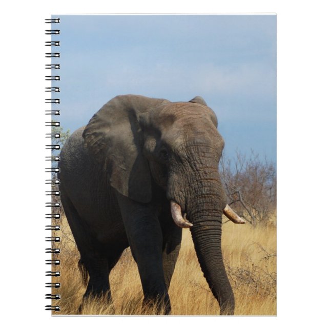 Pachyderm Notebook (Front)