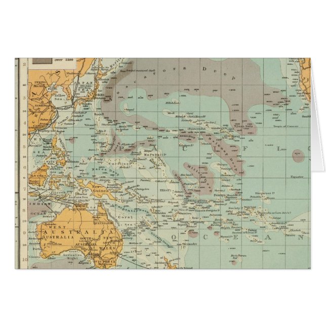 Pacific (Front Horizontal)