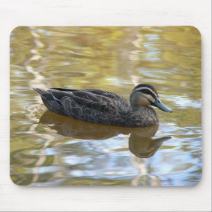 Pacific Black Duck Mouse Pad