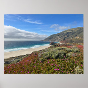 Pacific Coast Poster