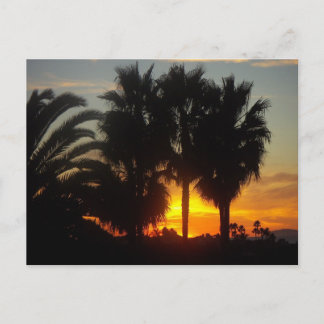 Pacific Coast Sunset Postcard