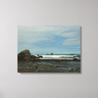 Pacific Coastline at Redwood National Park Canvas Print