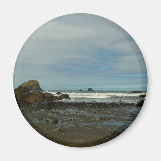 Pacific Coastline at Redwood National Park Magnet