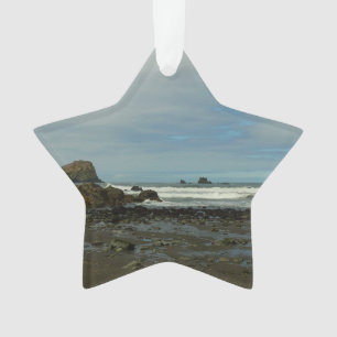 Pacific Coastline at Redwood National Park Ornament
