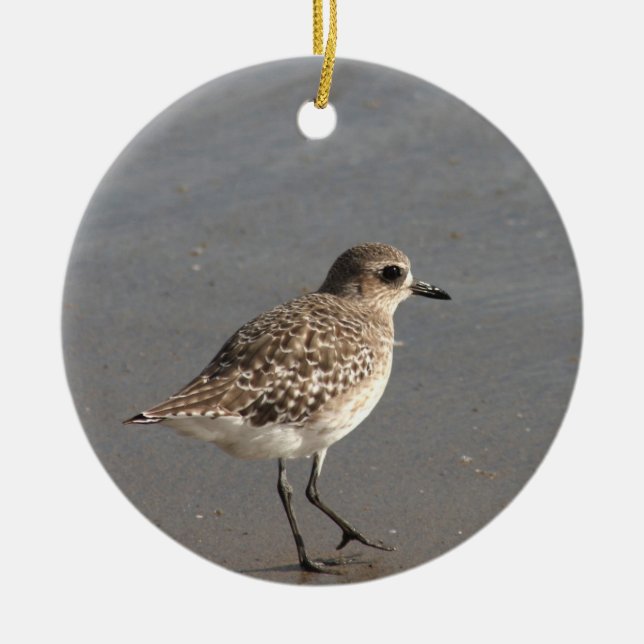 Pacific Golden Plover Ceramic Tree Decoration (Front)