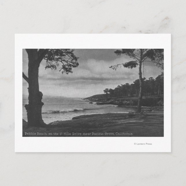 Pacific Grove, CA - Pebble Beach on 17 Mile Driv Postcard (Front)